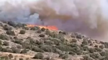 İzmir'de Yangın Çıktı