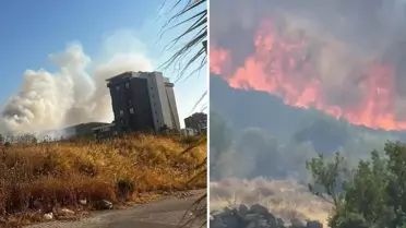 İzmir'in Buca ilçesinde orman yangını! Alevler hızla ilerliyor