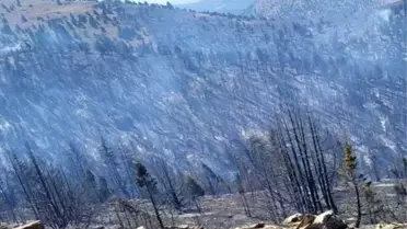 Kahramanmaraş'ta Yangın Sürüyor