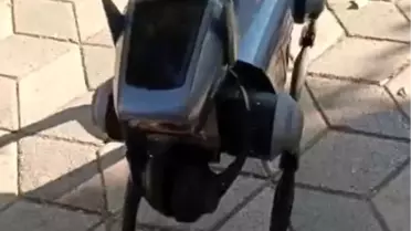 Robot Köpek Eskişehir'de İlgi Odağı Oldu