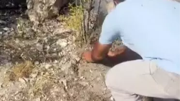 Suyu biten vatandaşlar alevlere avuç avuç toprak atarak müdahale etti