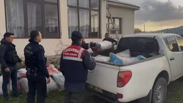 Van Gölü'nde İnci Kefali Popülasyonu Artıyor
