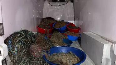 Zonguldak'ta Kaçak Kalkan Avına Baskın