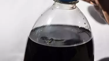 Marketten aldıkları kolanın içinden ölü arı çıktı