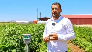 Gaziantep'te Kadın Çiftçilerle Ata Tohumları Yeniden Canlanıyor