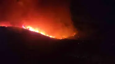 Hatay'da Orman Yangını, Evler Tahliye Ediliyor