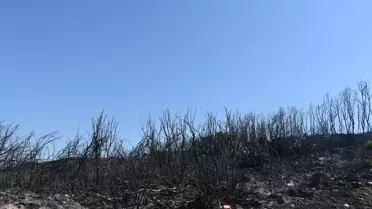 İzmir'de Yangın: 'Ortalık Cehenneme Döndü'
