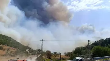 Mersin'de Orman Yangını: Mahalleler Tahliye Ediliyor