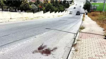 Arnavutköy'de Kardeş Kavgası: 1 Ölü