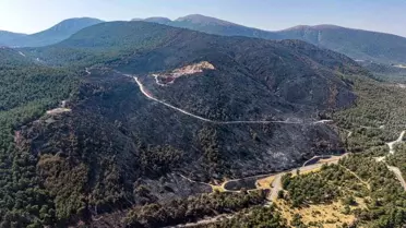 Manisa'da Orman Yangını Kontrol Altına Alındı, Soğutma Çalışmaları Devam Ediyor