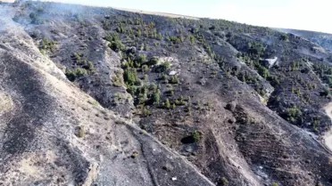 Çorum'da Otluk Alanda Çıkan Yangın Kontrol Altına Alındı