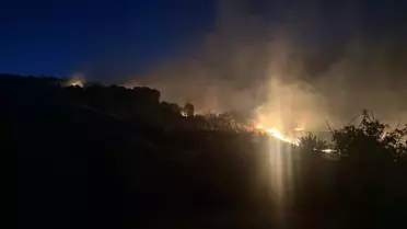 Lice'de Orman Yangını Kontrol Altına Alındı