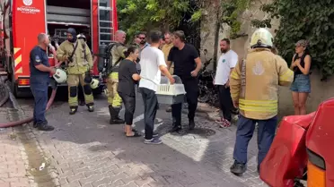 Beşiktaş'ta Yangın: 2 Kedi Kurtarıldı