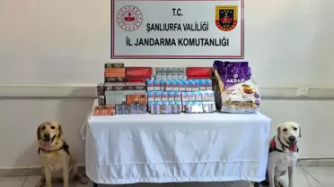 Şanlıurfa'da Kaçak Tütün Operasyonu
