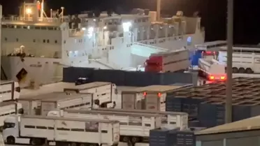 Bandırma'da 'Yüzen Ahır' Tepkisi: Halk Sağlığı Tehlikede