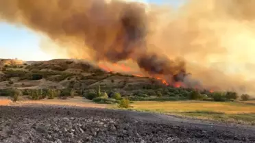 Adıyaman'da Anız Yangını Kontrol Altına Alındı