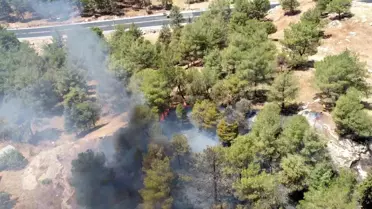 Adıyaman'da Anız Yangını Ormanı Tehdit Etti