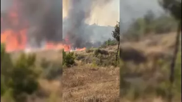 Osmaniye'de Alevler Arasında Kurtuluş