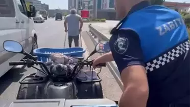 Zabıta Ekipleri Özel Bireye Yardım Eli Uzattı