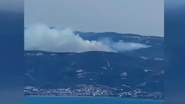 İznik'te Maki Yangını