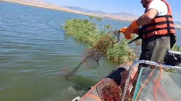 Çorum'da Kaçak Avcılara Cezalar Kesildi