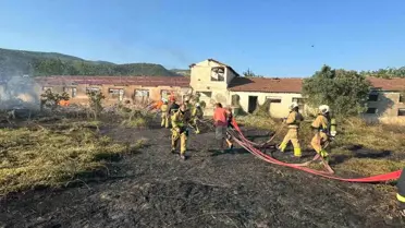 Balıkesir'de Şiddetli Rüzgar Elektrik Tellerini Kopardı, Yangın Çıktı