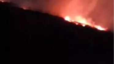 Hatay'da Orman Yangını Büyümeden Kontrol Altına Alındı