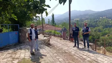 İlkadım Belediyesi, Sındırgı'daki Deprem İçin Seferber Oldu
