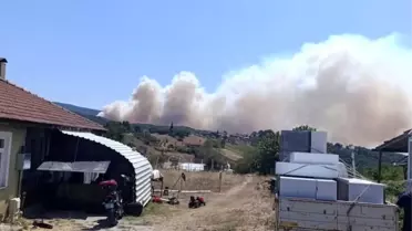 Karamürsel'de Orman Yangını