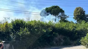 Zonguldak'ta Orman Yangını Kısa Sürede Söndürüldü