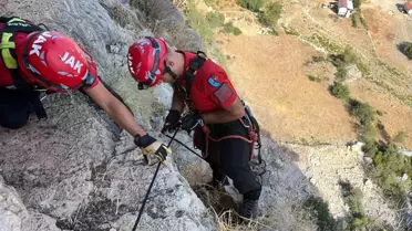 Sarp Arazide Mahsur Kalan Keçi Kurtarıldı