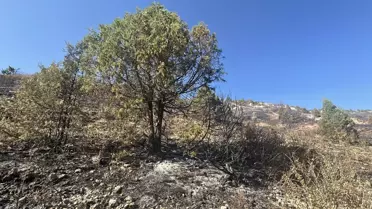 Hafik'te Makilik Yangını Kontrol Altına Alındı