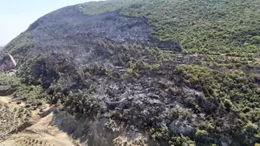 Hatay'da Orman Yangını 14. Saatte Kontrol Altına Alındı