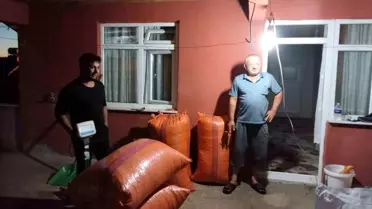Alaplı'da İlk Fındık Alımı Gerçekleşti