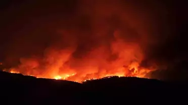 Çanakkale'de Orman Yangını