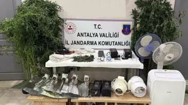 Manavgat'ta Kenevir Operasyonu
