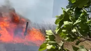 Kandıra'da Yangın Paniği