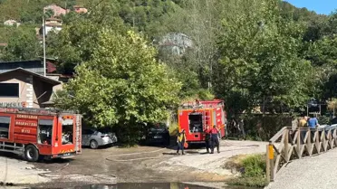 Zonguldak'ta Orman Yangını Kontrol Altına Alındı