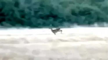 Gelibolu'da Orman Yangını Kontrol Altında