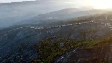 Gelibolu Orman Yangını Kontrol Altında
