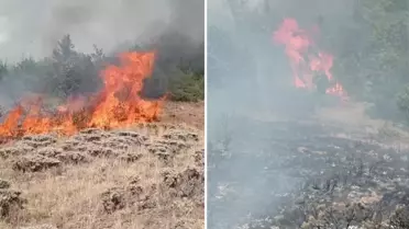 Gümüşhane'de çobanın yaktığı ateş yangına neden oldu