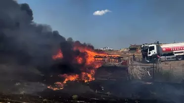 Çorlu'da Koyun Besi Çiftliğinde Yangın Çıktı