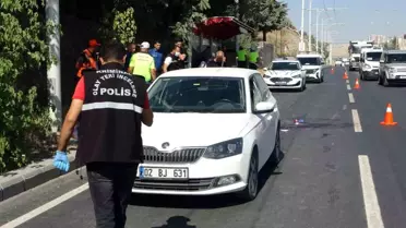 Malatya'da Yaya Otomobilin Çarpmasıyla Yaralandı