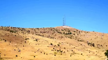 Muş'ta Bağ Arazileri Askere Atış Alanı Oldu