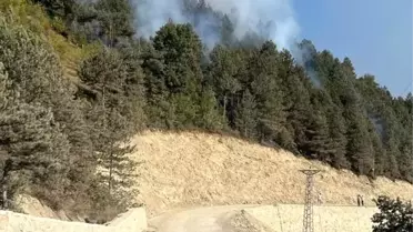 Sinop'ta Ormanlık Alanda Yangın Çıktı