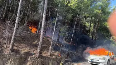 Muğla'da Seyir Halindeki Araç Yangını Ormana Sıçradı