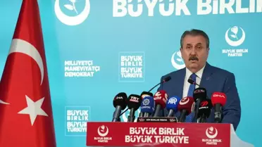 Destici: Orman Yangınları ve Çeteleşme Üzerine Uyarılar