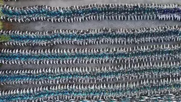 İstanbul Bisiklet Sistemi İSbike Kullanıma Kapatıldı, Bisikletler Çürümeye Terk Edildi