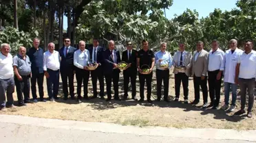 Aydın'da İncir Araştırma Enstitüsü'nde Hasat Etkinliği Düzenlendi