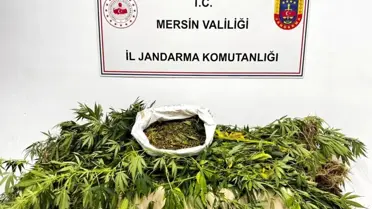 Mersin'de Uyuşturucu Ticareti Üzerine Operasyon